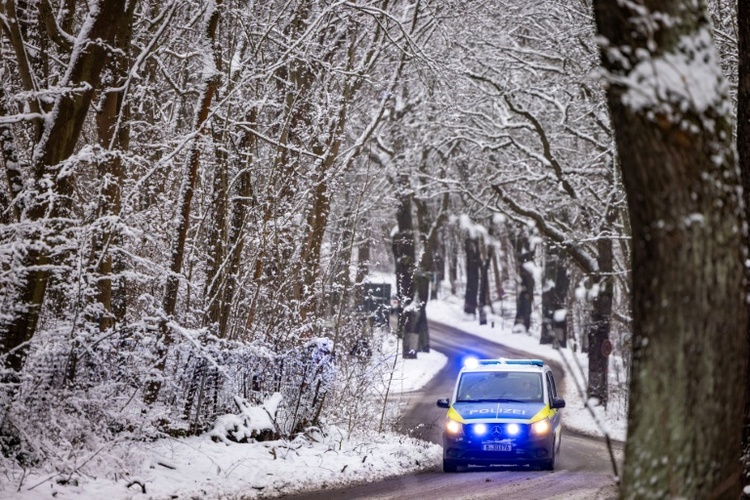 Weiterer Toter durch Schneebruch in Bayern - Von Ast getroffener Radfahrer stirbt