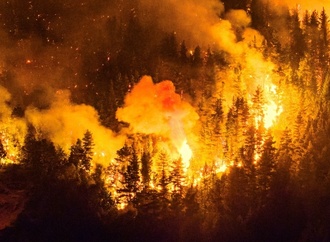 Riesige Waldbrände in Patagonien - Argentinien ruft Notstand aus