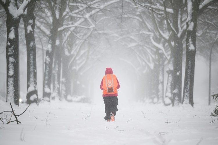 Wetterdienst: Januar in Deutschland teils so schneereich wie seit 2010 nicht mehr
