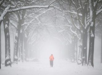 Frost im Nordosten, mildes Wetter am Rhein: Februar startet mit Temperaturgefälle