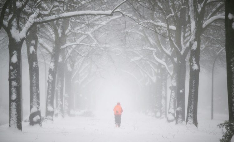 Frost im Nordosten, mildes Wetter am Rhein: Februar startet mit Temperaturgefälle