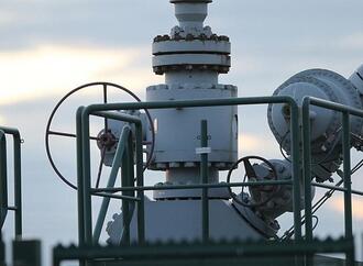 Energiewirtschaftsverband befürwortet strategische Gasreserve