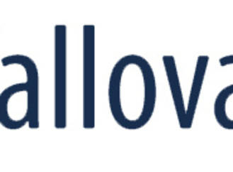 Vallovapor GmbH positioniert sich in Deutschland als Spezialist für professionelle Schimmelsanierung