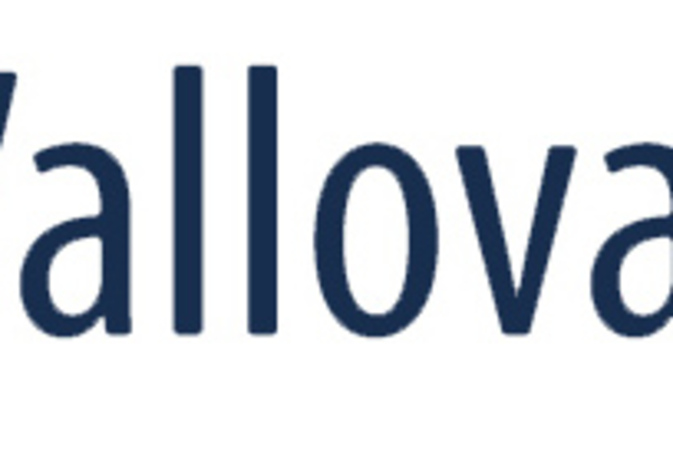 Vallovapor GmbH positioniert sich in Deutschland als Spezialist für professionelle Schimmelsanierung