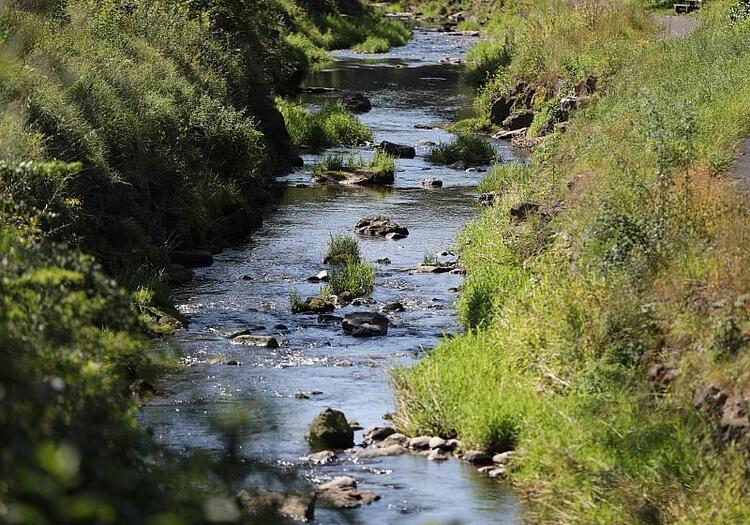 Umweltministerium startet Renaturierungsprogramm für Flussauen