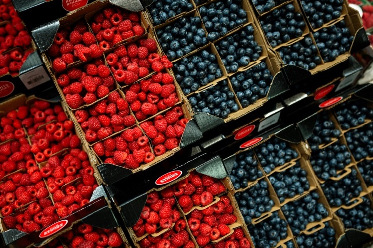 Günstige Witterungsbedingungen: Rekord-Beerenernte in Deutschland