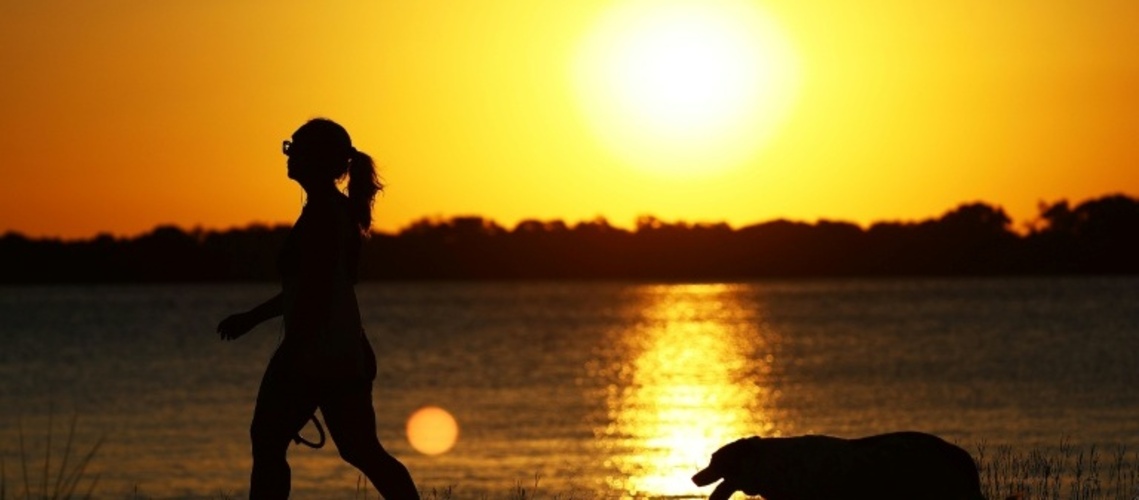 Haustiere dürfen in Brasilien mit Herrchen und Frauchen beigesetzt werden