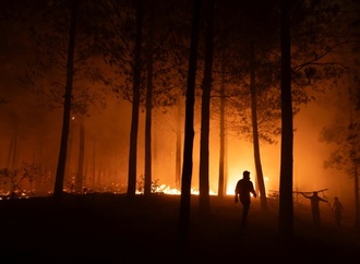 Studie: Klimawandel trug zu Bedingungen für Waldbrände in Argentinien und Chile bei