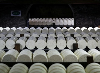 China verstetigt Zölle auf EU-Milchprodukte - Aufschläge aber deutlich niedriger