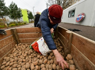 Erzeugerpreise für Landwirte 2025 minimal gestiegen