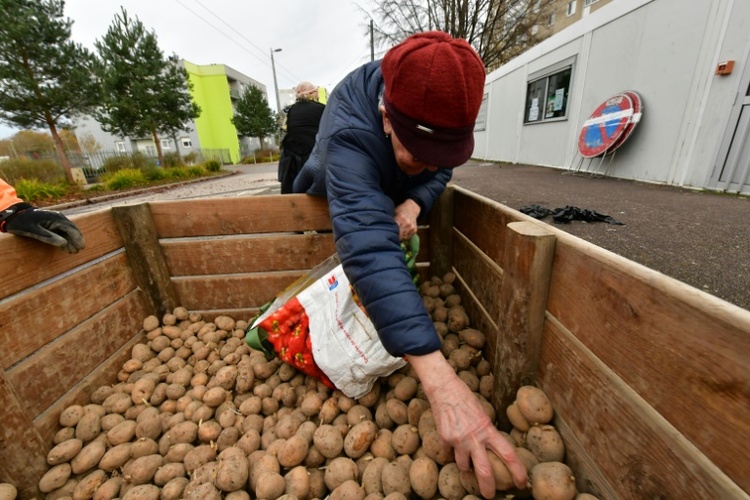 Erzeugerpreise für Landwirte 2025 minimal gestiegen