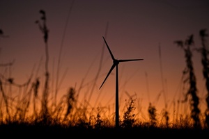 Grüne und Verbände warnen Reiche vor einem Abwürgen der Energiewende