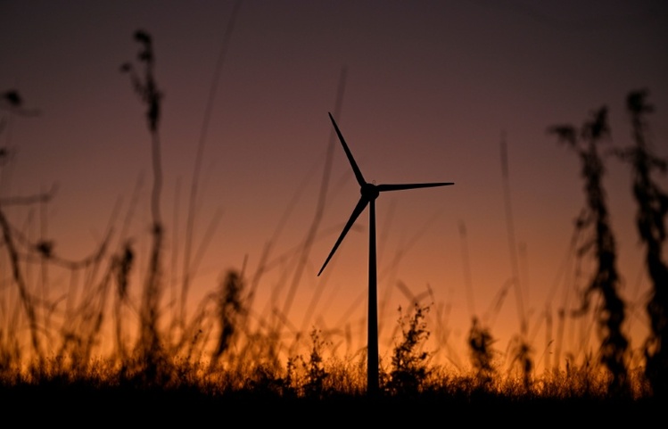 Grüne und Verbände warnen Reiche vor einem Abwürgen der Energiewende