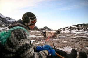 Grönlands Hauptstadt verzeichnet wärmsten Januar seit Aufzeichnungsbeginn