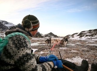 Grönlands Hauptstadt verzeichnet wärmsten Januar seit Aufzeichnungsbeginn