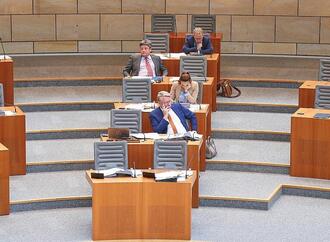 AfD-Landtagsabgeordnete beschäftigen besonders viele Mitarbeiter