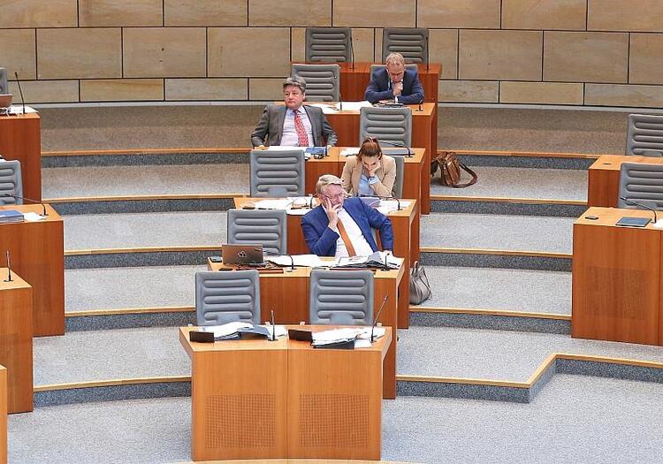 AfD-Landtagsabgeordnete beschäftigen besonders viele Mitarbeiter