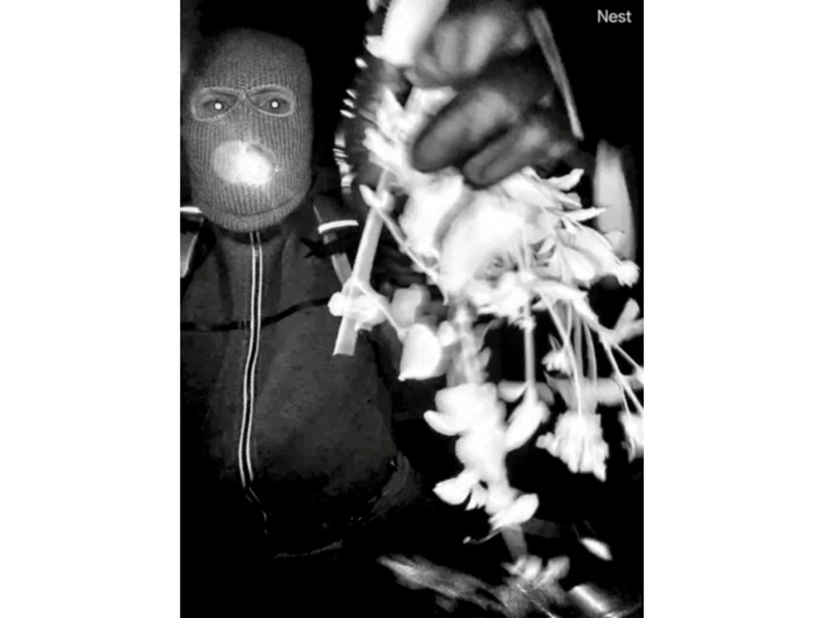 Star-Moderatorin verspricht eine Million Dollar für Hinweise auf entführte Mutter