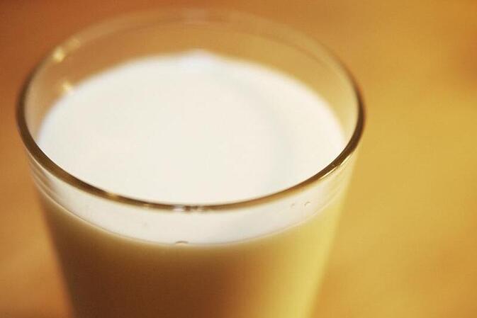 Milchbauern rufen Rainer zu Kampf gegen Preisverfall auf