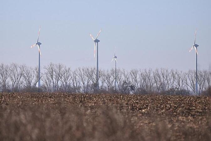 Unternehmen und Grüne starten Appell gegen Energiepolitik