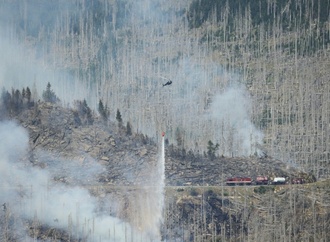 Münchner Experten warnen vor drastischem Anstieg von Waldschäden durch Klimawandel