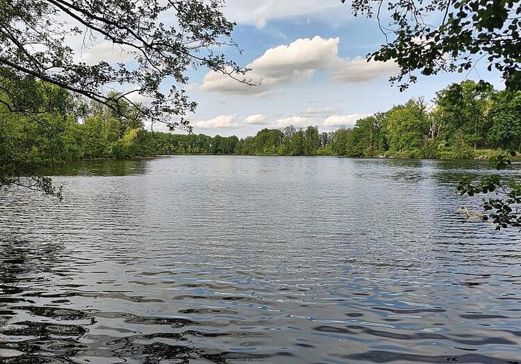 Zahl der Badetoten 2025 gesunken