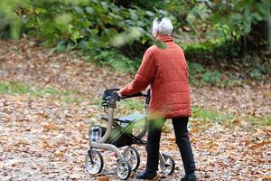 Dittrich verlangt mehr Zugeständnisse von Älteren bei Rentenreform