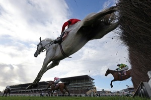 Mikrochip in der Suppe entdeckt: Rennpferd endete in türkischer Suppenküche