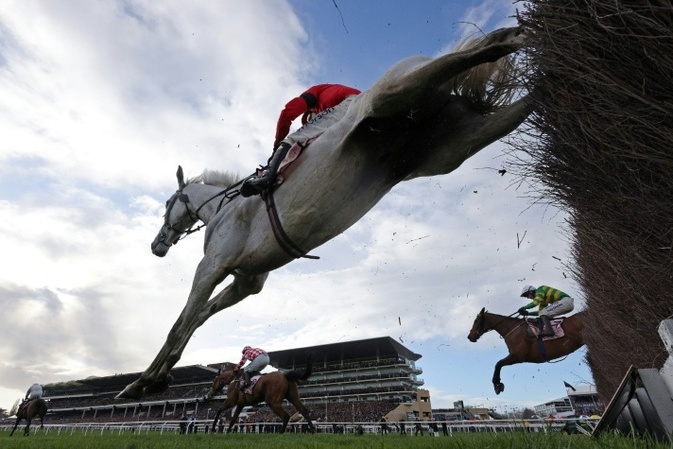 Mikrochip in der Suppe entdeckt: Rennpferd endete in türkischer Suppenküche