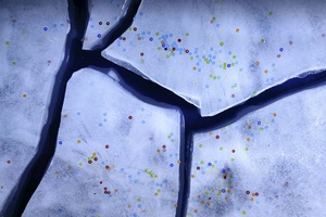 Spülschwämme sind schuld: Abwasch per Hand setzt tonnenweise Mikroplastik frei