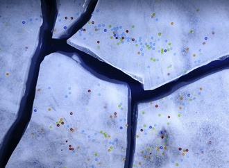 Spülschwämme sind schuld: Abwasch per Hand setzt tonnenweise Mikroplastik frei