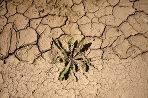 Fehlende Niederschläge: Wasserspeicherung in Deutschland nimmt ab