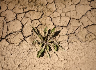 Fehlende Niederschläge: Wasserspeicherung in Deutschland nimmt ab