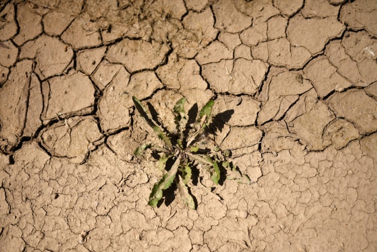 Fehlende Niederschläge: Wasserspeicherung in Deutschland nimmt ab