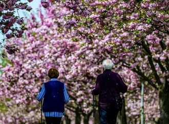 Union kritisiert neue Riester-Rente - kurz vor Entscheidung im Bundestag