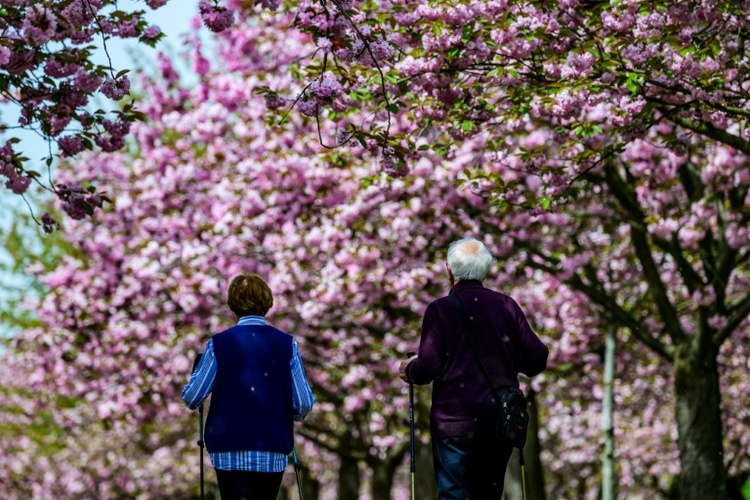 Union kritisiert neue Riester-Rente - kurz vor Entscheidung im Bundestag