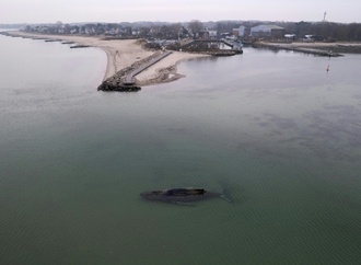 Gestrandeter Wal vor Schleswig-Holstein: Hoffnungen ruhen auf Schwimmbagger