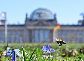 Bundestag verabschiedet Spritpreis-Gesetz