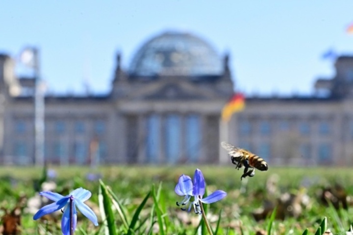 Bundestag verabschiedet Spritpreis-Gesetz