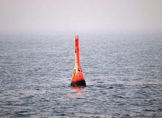 Buckelwal in der Ostsee sitzt wieder fest