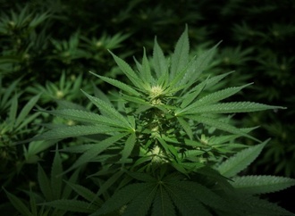 Schienen, Waggons, Kräne: Spanische Polizei entdeckt riesigen Drogenschmuggel-Tunnel