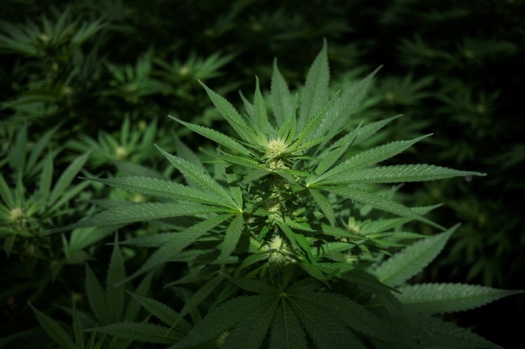 Schienen, Waggons, Kräne: Spanische Polizei entdeckt riesigen Drogenschmuggel-Tunnel