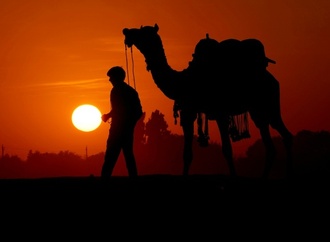Mit Kamelen über Waldpfade: Alkoholschmuggler in Indien geschnappt