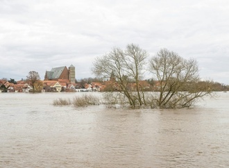 Bund stellt 80 Millionen für Anpassung von Städten an Klimawandel bereit