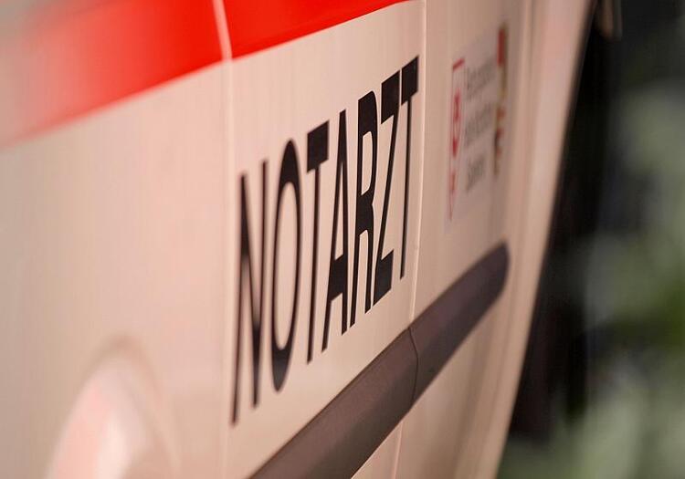 Drei Tote nach Baumsturz bei Ostersuche nahe Flensburg