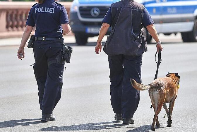 Bundespolizei fehlen Hunderte Sprengstoffhunde