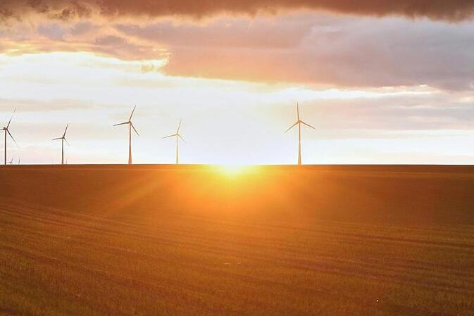 Forsa: Zwei Drittel befürworten Klimaneutralität bis 2045