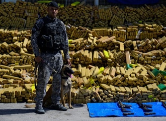 Polizeihund in Rio de Janeiro erschnüffelt zufällig Rekordmenge an Drogen