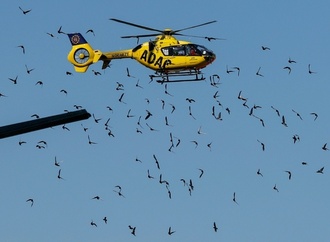 Achtjährige bei Sturz in Neandertaler-Höhle in Baden-Württemberg schwer verletzt