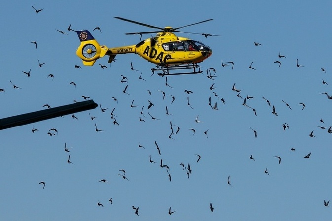 Achtjährige bei Sturz in Neandertaler-Höhle in Baden-Württemberg schwer verletzt